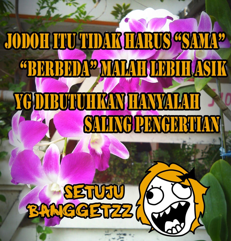 MEME ROMANTIS : JODOH TIDAK HARUS SAMA | SINICHINET