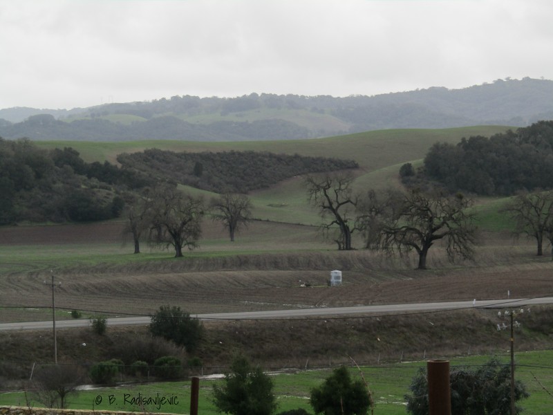 46 West Wine County is Green Again