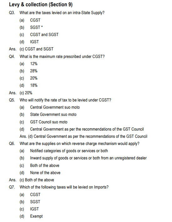 essay on theme park east sussex