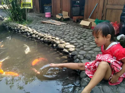 Terapi Ikan di Kampung Flory Sleman
