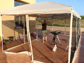 A very happy A inside our gazebo A very happy A inside our gazebo