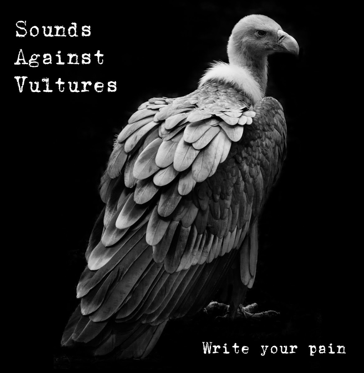 Vultures album. Vultures Гоша. Vultures одежда. Vulture альбом песня. Vultures February.