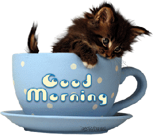 Cute Cat Kitty Good Morning GIF Pictures Cute Cat Kitty Good Morning GIF Pictures