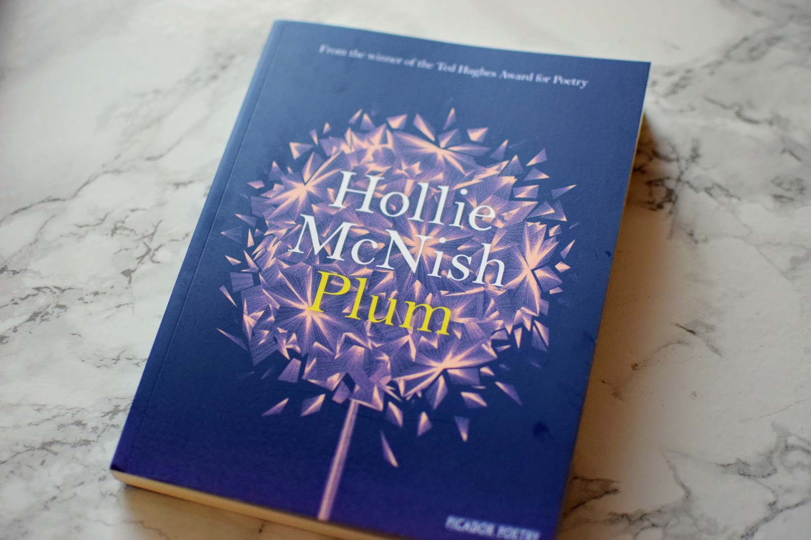 , Plum by Hollie McNish Review and Giveaway