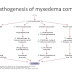 Myxedema Coma| definition, causes, symptoms, diagnosis and treatment Myxedema Coma| definition, causes, symptoms, diagnosis and treatment
