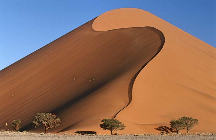 Namib Desert; Namibia Namib Desert; Namibia