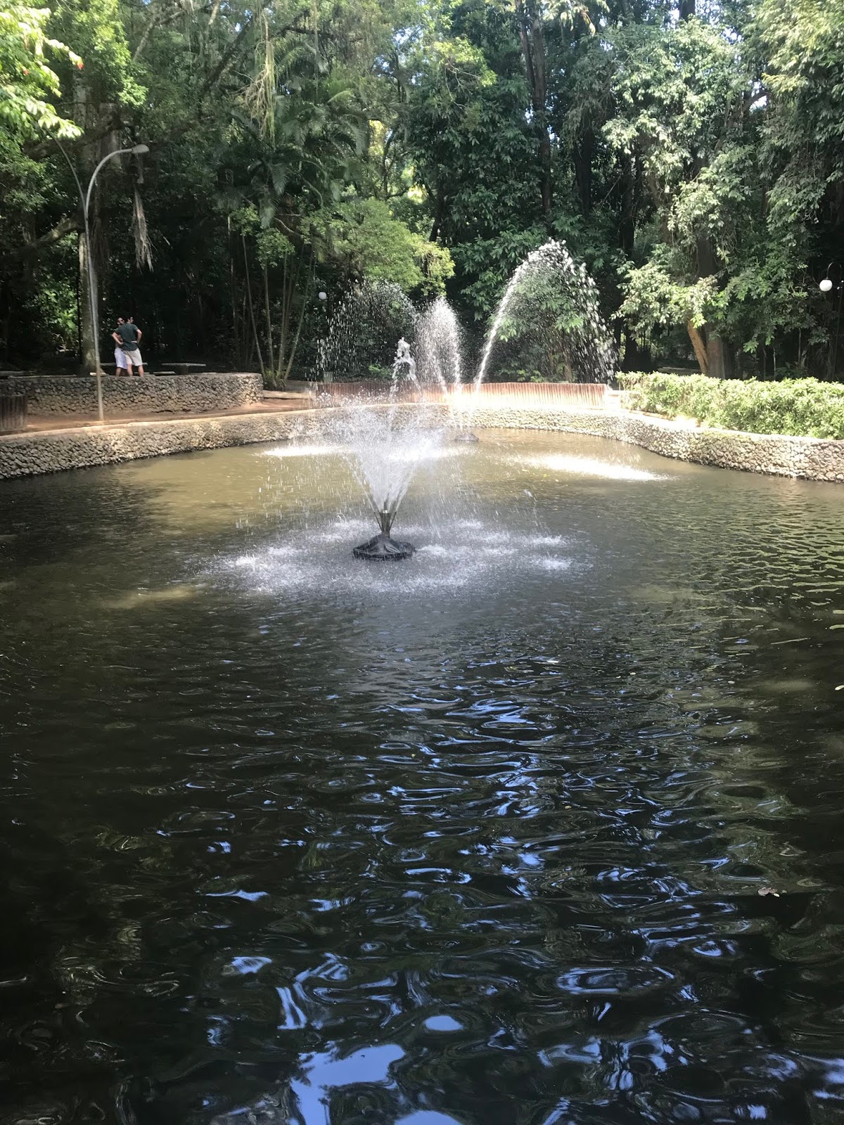 Horto Botânico de Niterói ou Jardim Botânico de Niterói ou ainda, Horto do Fonseca Áreas Horto Botânico de Niterói ou Jardim Botânico de Niterói ou ainda, Horto do Fonseca Áreas