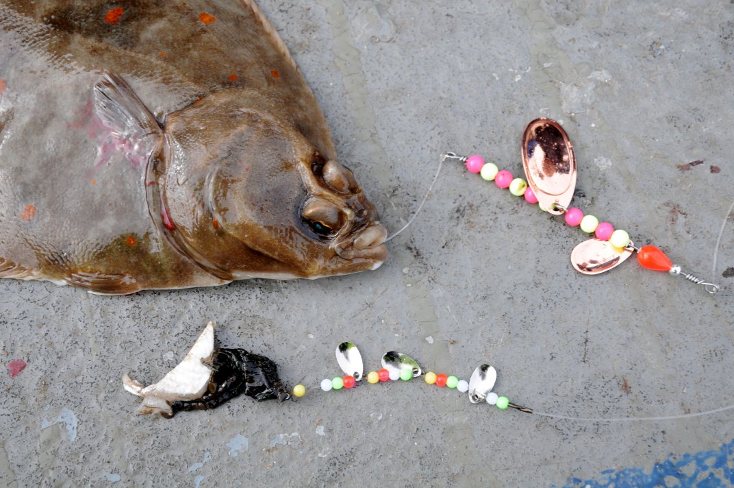 Noble's Fishing - Hints & Tips: Shore Fishing For Plaice