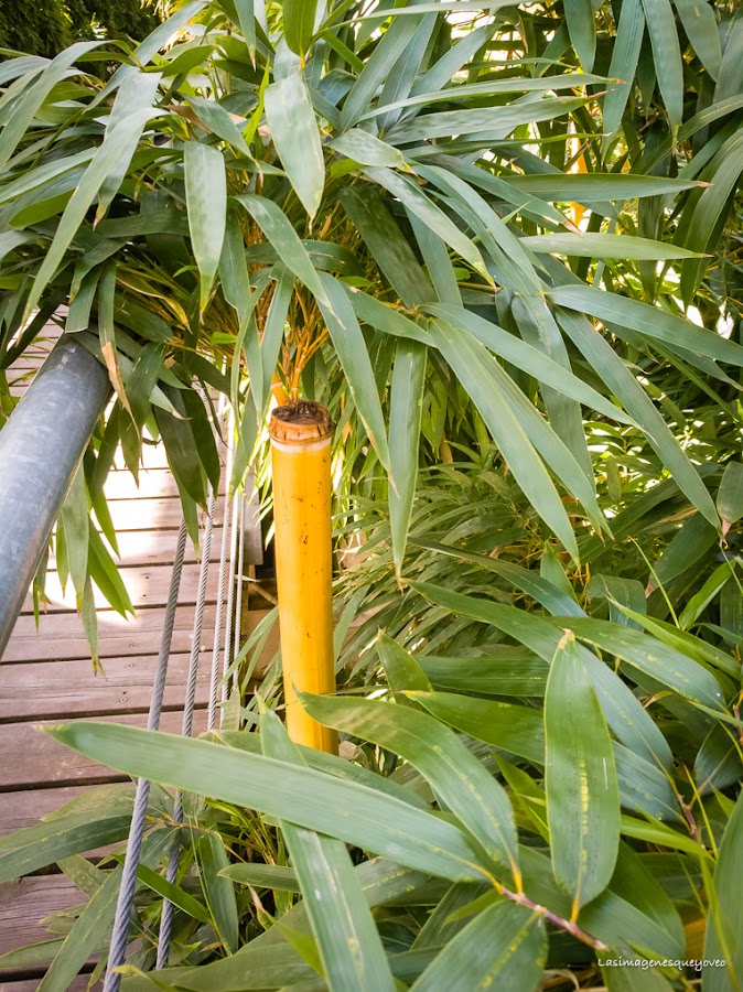 Estufa Fría del parque Juan Carlos I