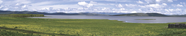 Lake Arpi National Park