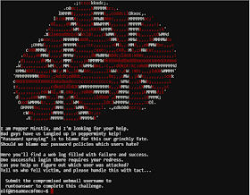 Echo 0xhat Security January 19