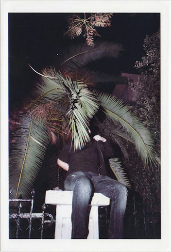 dirty photos - umbra - a night street photo of man behind palm tree leaves