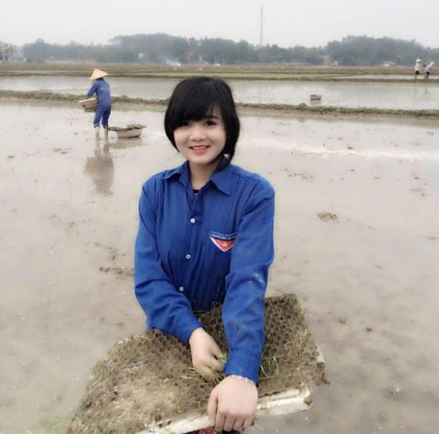 hinh-anh-gai-que-xinh-dep hinh-anh-gai-que-xinh-dep