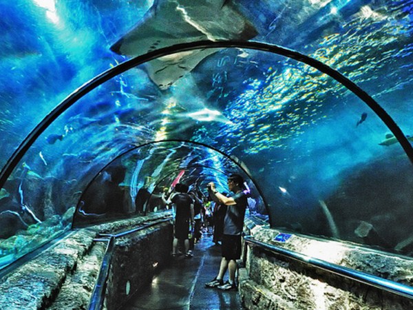 Spend a Holiday Time With Your Family In Jakarta? Visit This 7 Tourist Attractions Spend a Holiday Time With Your Family In Jakarta? Visit This 7 Tourist Attractions