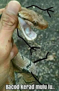 Kerad Kerad