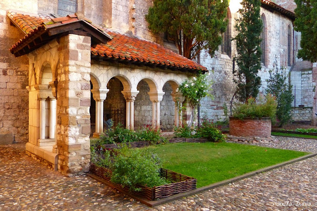 Albi Claustro Saint Salvy
