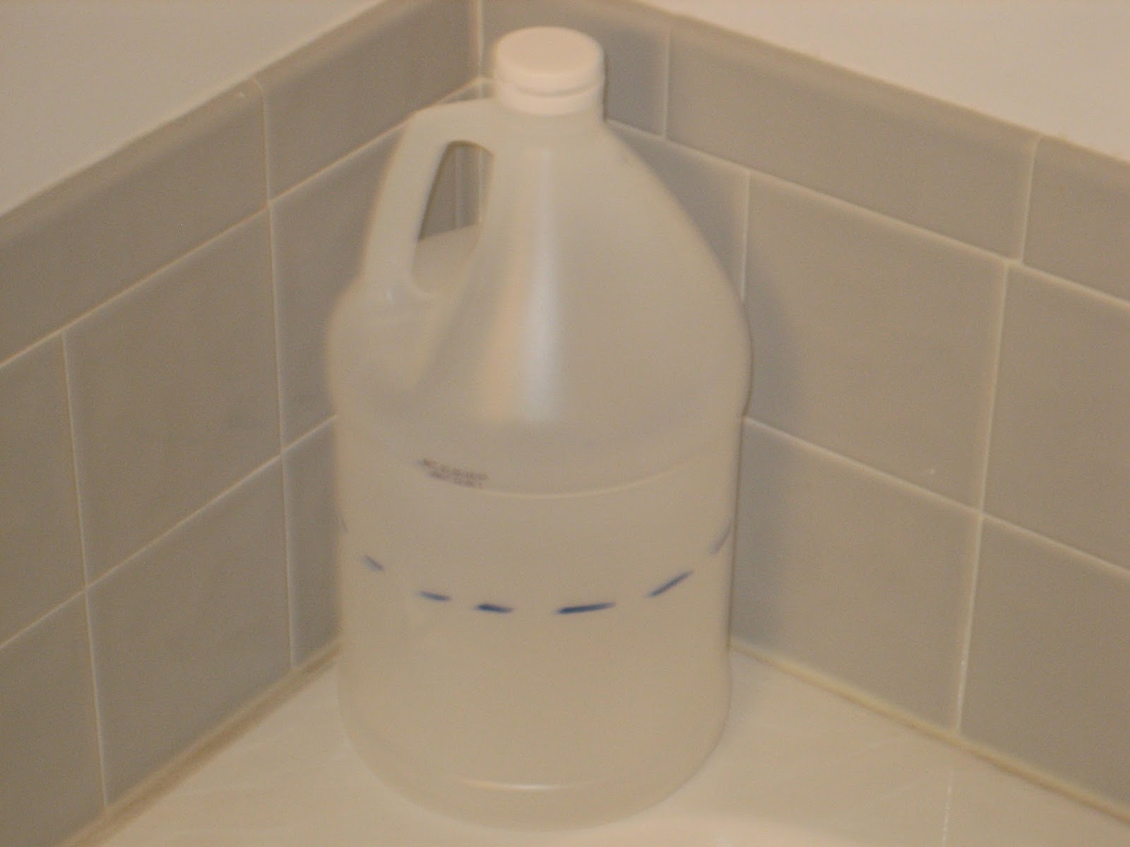 stuffedveggies Upcycling the Vinegar Jug