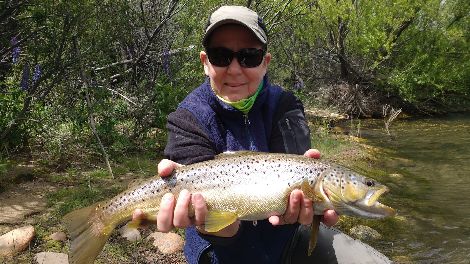 Fly Fishing Patterns For Argentina