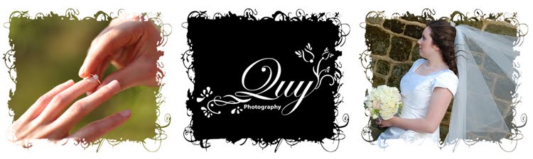 Quy Photography