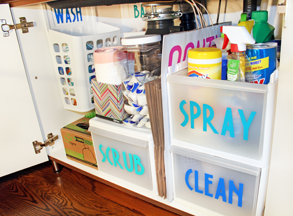 The Best Ways To Organize Under The Kitchen Sink Blue I Style