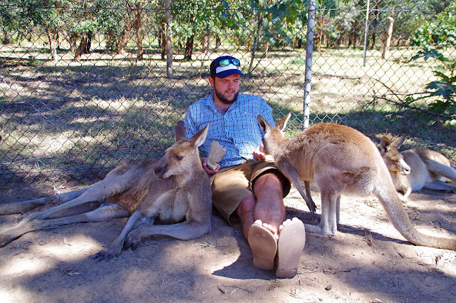 Dan Chilling with the Locals at Lone Pine Koala Sanctuary