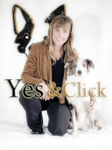 Yes&Click! Una Actitud hacia el Adiestramiento Canino. Siempre bienvenidos.