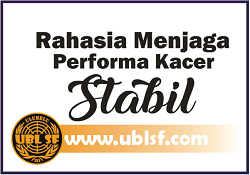 Rahasia Menjaga Stabilitas Performa Kacer dari Musim ke Musim