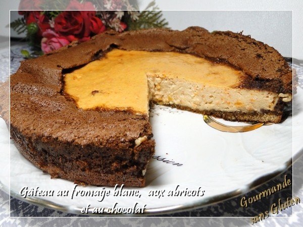 Gourmande Sans Gluten Gateau Au Fromage Blanc Aux Abricots Et Au Chocolat