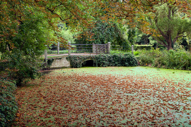Old stone bridge over Bottisham Lode at Anglesey Abbey Leaves lie on a green river in Cambridgeshire by Martyn Ferry Photography
