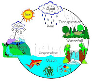 WATER   CYCLE