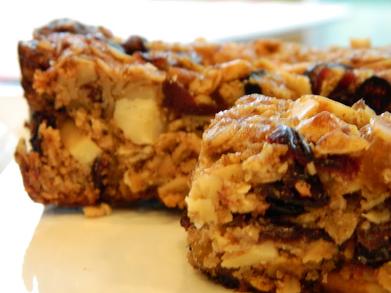 Primal Bites: Gluten Free Breakfast Bars