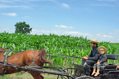  La plupart des amish vivent aux usa, dans 21 états et en Ontario (Canada). Les Mennonites sont au nombre de 1 million répartis dans 60 pays, près de la moitié en Amérique du nord.
