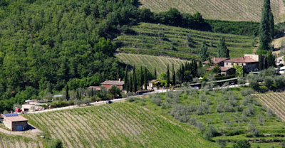 vigneti gaiole in chianti classico