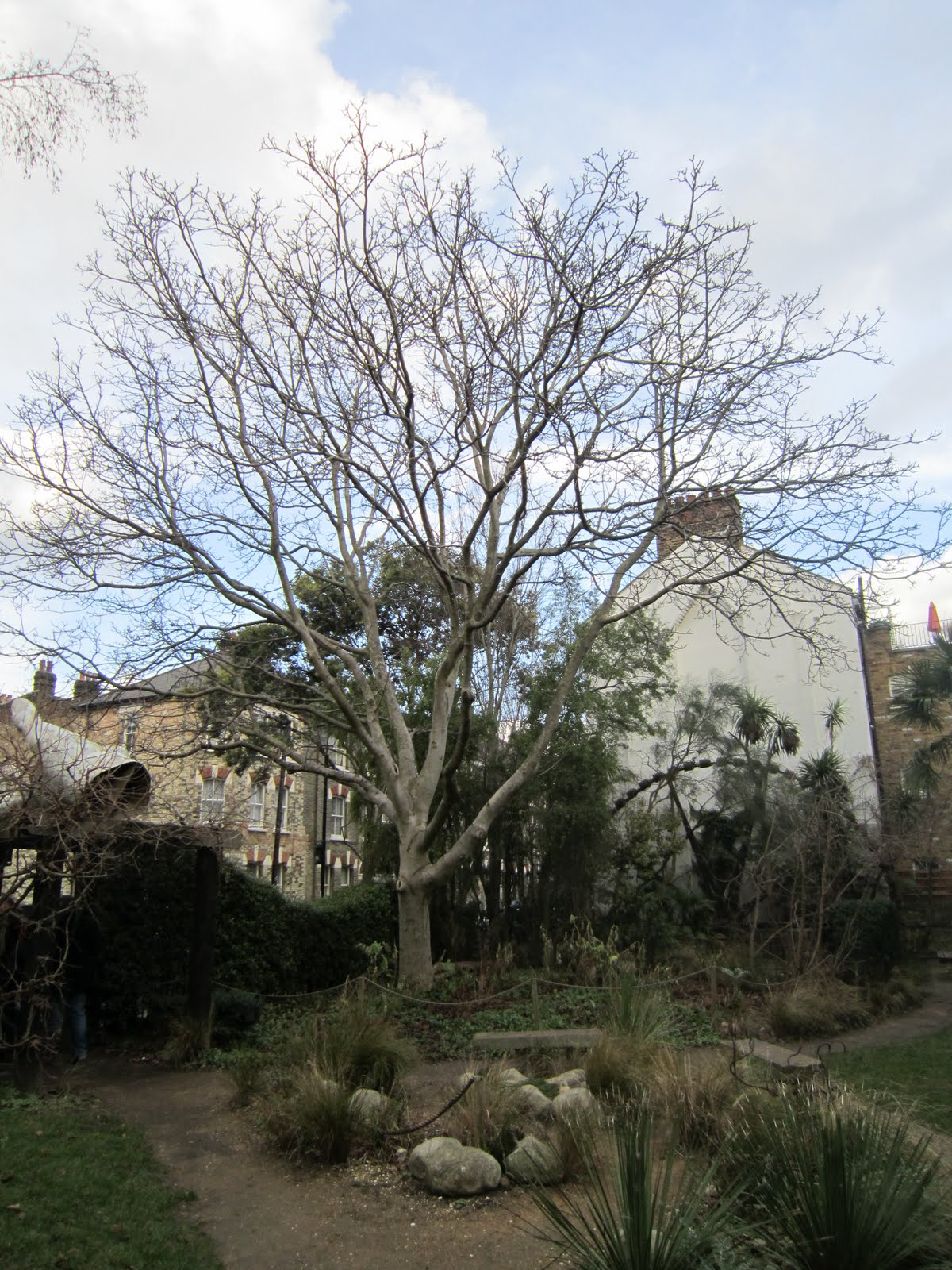 Landscape is Deon Steyn Bonnington Square, London SW8