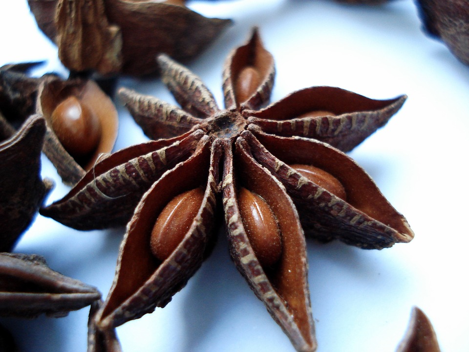 Medicinal Plants Chinese Star Anise