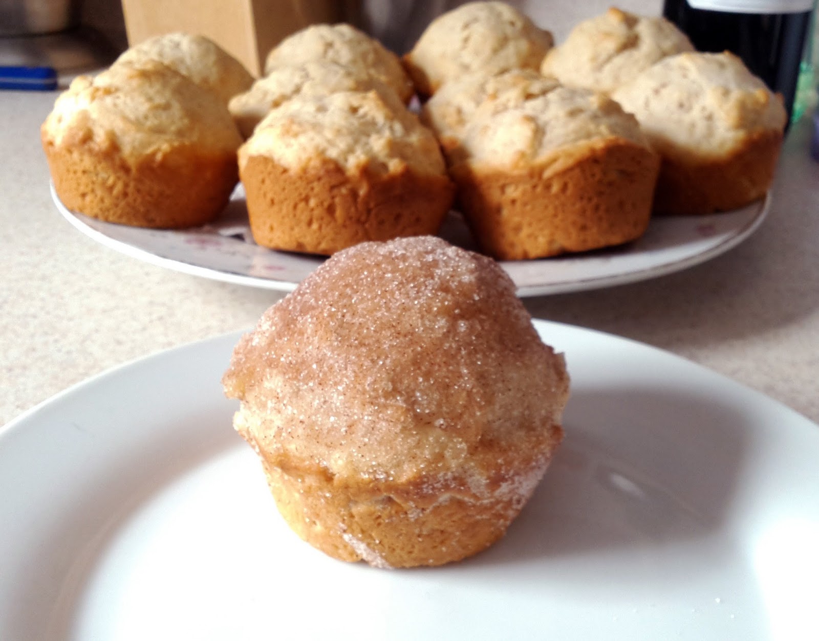 The Rainyday Kitchen Cinnamon Sugar Muffins Recipe