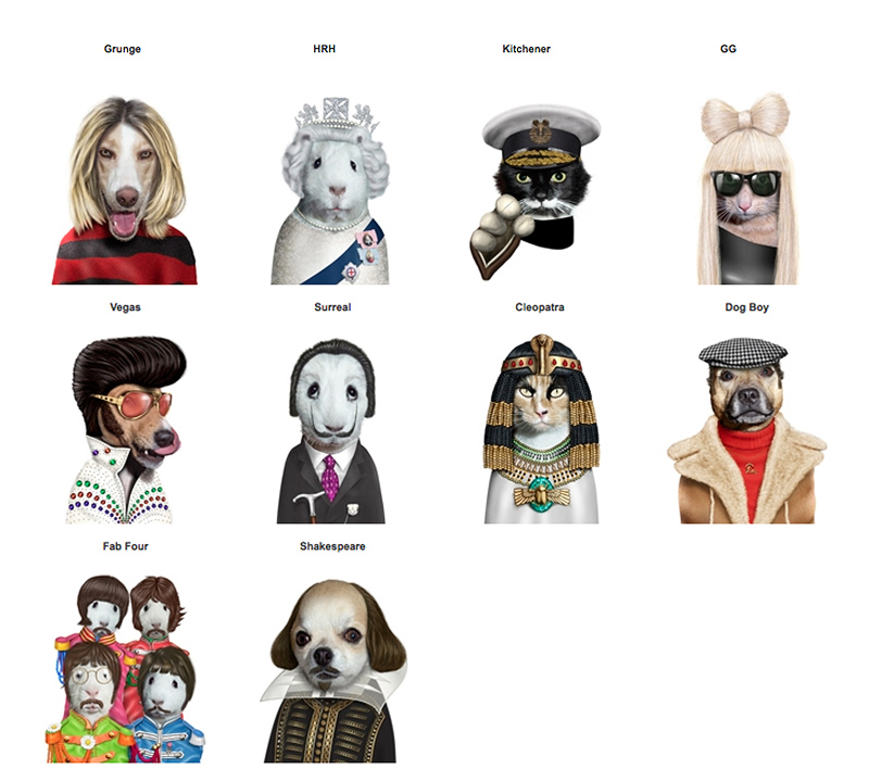 Takkoda Pets Rock Characters and Products
