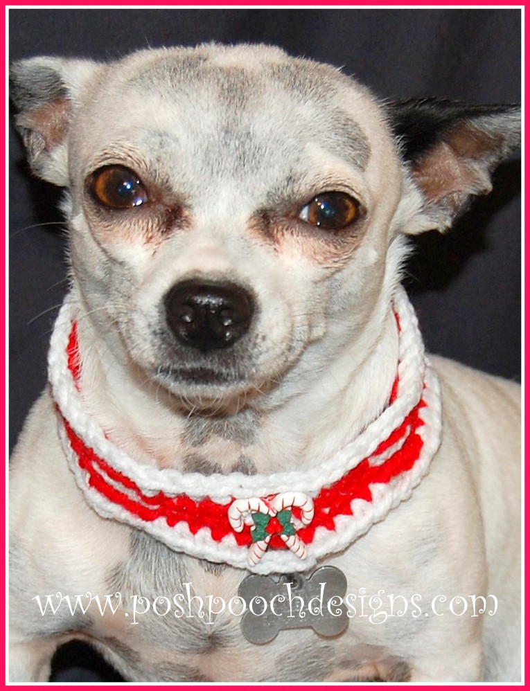 Posh Pooch Designs Candy Cane Collar Free Crochet Pattern 9