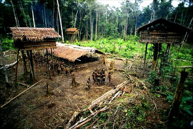 Perampok/Pencuri Liar, Penjahat & Pembunuh Masuk Di Korowai Sejak Tahun 2015