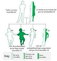 Fuente: https://www.cdc.gov/ncbddd/spanish/hemophilia/facts.html
