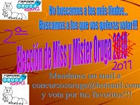 PREMIO: ELECCIÓN DE MISS Y MISTER ORUGA 2011