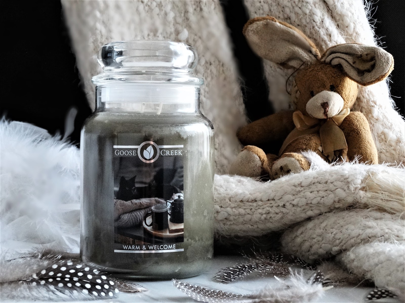 GOOSE CREEK WARM & AVIS