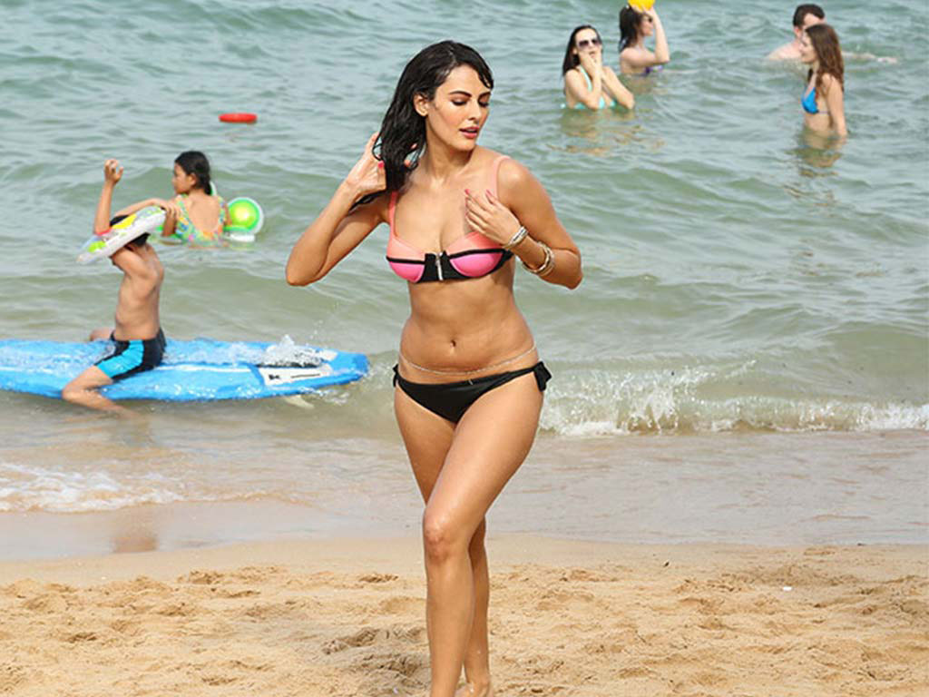 Bollywood New Hot Actress Mandana Karimi Bikini Gallery.