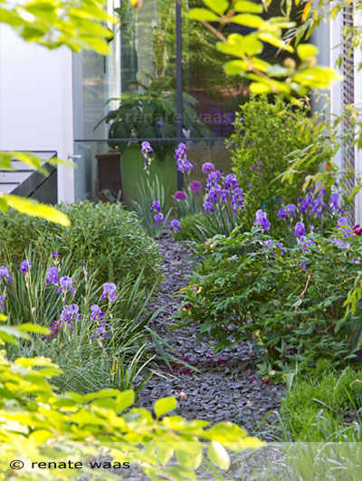 Pflanzplanung Staudenplanung und Gartenplanung für schöne, pflegeleichte Blumenbeete Renate Waas