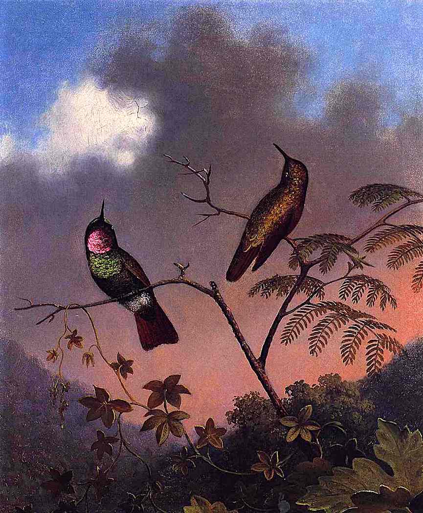 Martin Johnson Heade a Martin Johnson Heade color painting of exotic birds