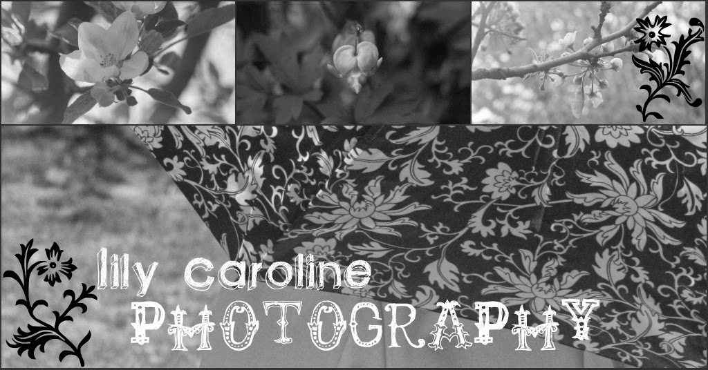 Lily Caroline Photography