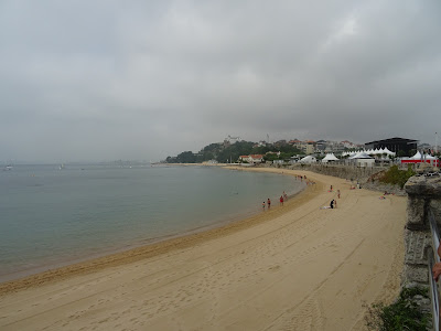 Vista de la Playa de La Magdalena