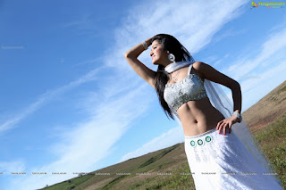 Actress Richa Panai latest hot navel show photos