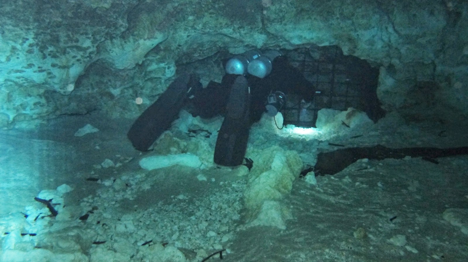 DEVILS EYE & EAR SYSTEM, GINNIE SPRINGS FLORIDA ADAM HAYDOCK