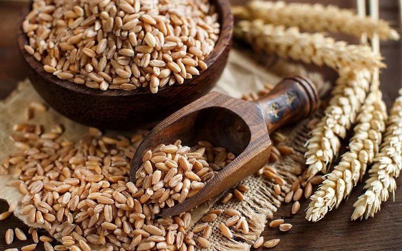 8 benefícios da espelta ou trigo-vermelho para a saúde